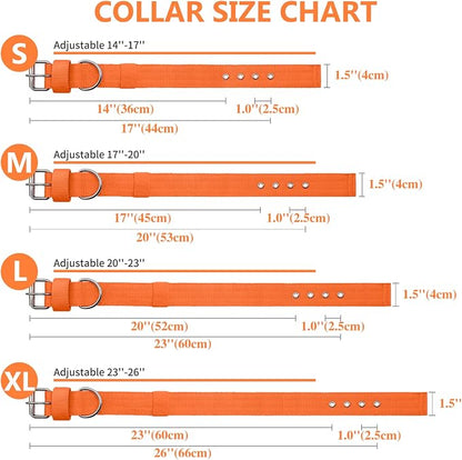 Heavy Duty Tactical Dog Collar - Image 5