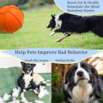 Herding Ball for Dogs, Dual Layered Herding Dog Ball Set for Australian Shepherd - Image 2