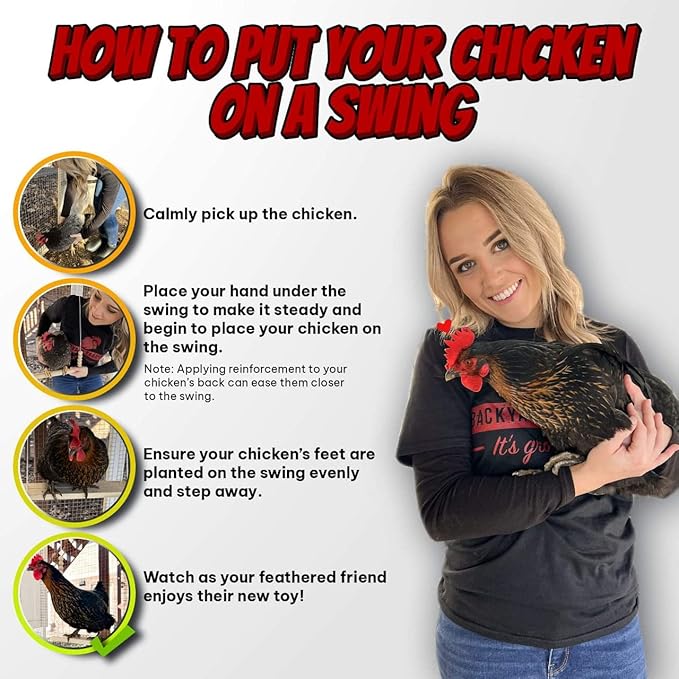 Chicken Swing Toy for Coop Handmade in USA Natural Safe Wooden Accessories - Image 3