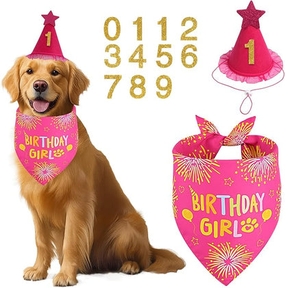 Dog Birthday Party Supplies, Rose Pink Dog Birthday Set by Unknown