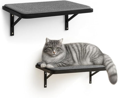 Cat Wall Shelves Set of 2, Wall-Mounted Space-Saving Climbing Shelf, Window by PELUOMOZ