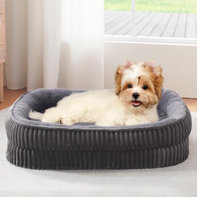 Orthopedic Dog Bed for Small Dogs Breeds, High Density Egg Crate Foam Dog Sofa by DEBANGHOME