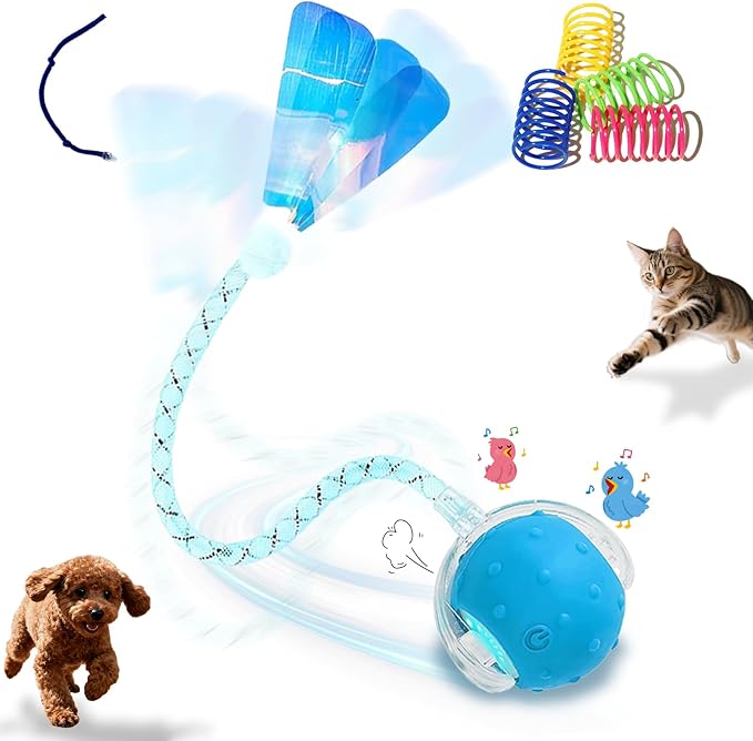 Interactive Cat Toys Ball for Indoor Cats, Automatic Cat Toy by Petayouj