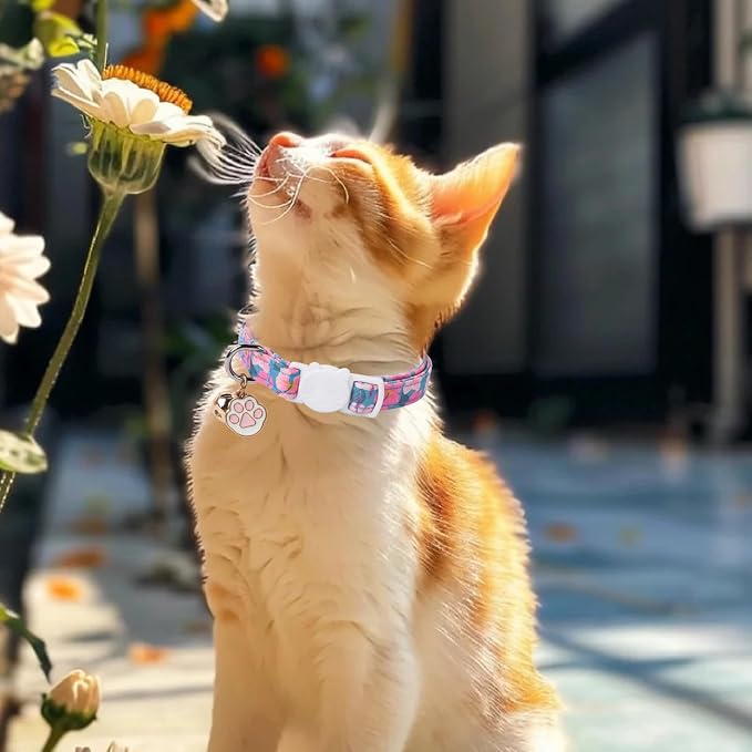 Unique Style Paws Pink Cat Collar, Breakaway Cat Collar - Image 6