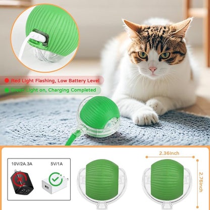 2025 New 1Pack Cat Ball Kitten Toys - Image 4