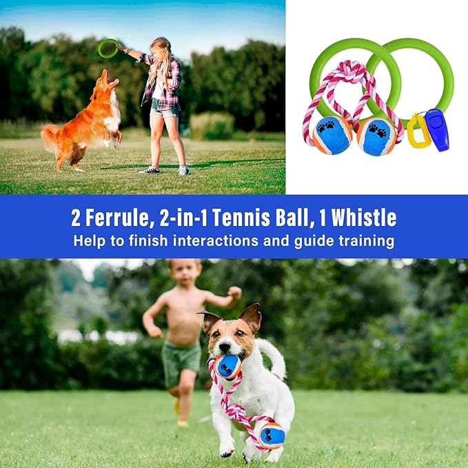 Dog Agility Training Equipment, Dog Agility Course Backyard Set - Image 7