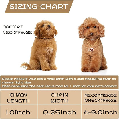 HOWWFALY Dog Collar and Cat Chain Necklace Stainless Steel Adjustable 18K Gold - Image 3