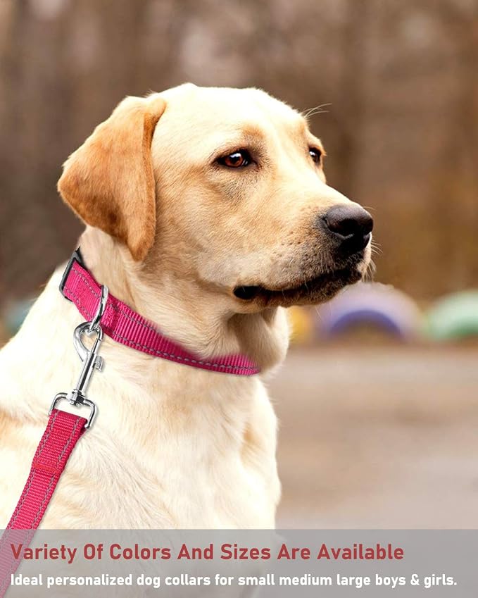 Reflective Dog Collar with Buckle Adjustable Safety Nylon Collars - Image 7