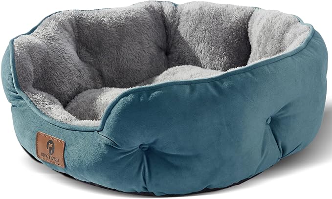 Asvin Small Dog Bed for Small Dogs, Cat Beds for Indoor Cats, Pet Bed for Puppy by Asvin