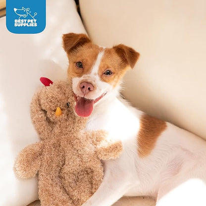 Best Pet Supplies Interactive Squeaky Dog Chew Toy, Ideal Dog Toys - Image 5