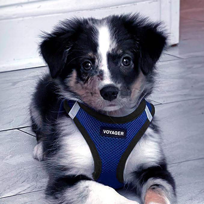 Best Pet Supplies Voyager Step-in Air Harness - Image 7