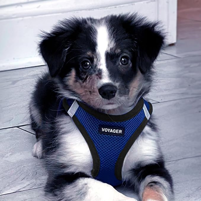 Best Pet Supplies Voyager Step-in Air Harness - Image 7