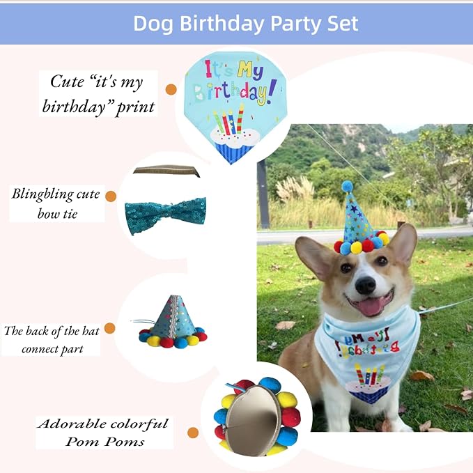 Pet Birthday Party Set with Hat and Bandana - Image 3