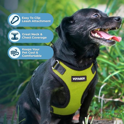 Voyager Step-in Pet Harness - Image 3