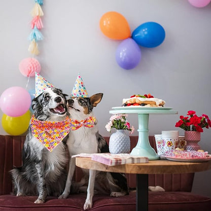Elegant little tail Dog Collars - Image 6