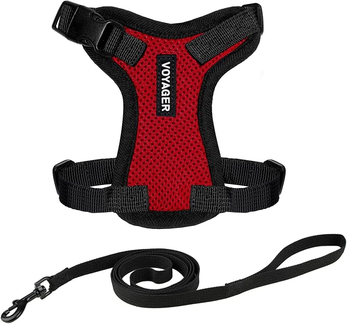 Voyager Escape-Proof Step-in Lock Cat Harness & 5ft Neoprene-Handle Leash Set by BestPetSuppliesLLC