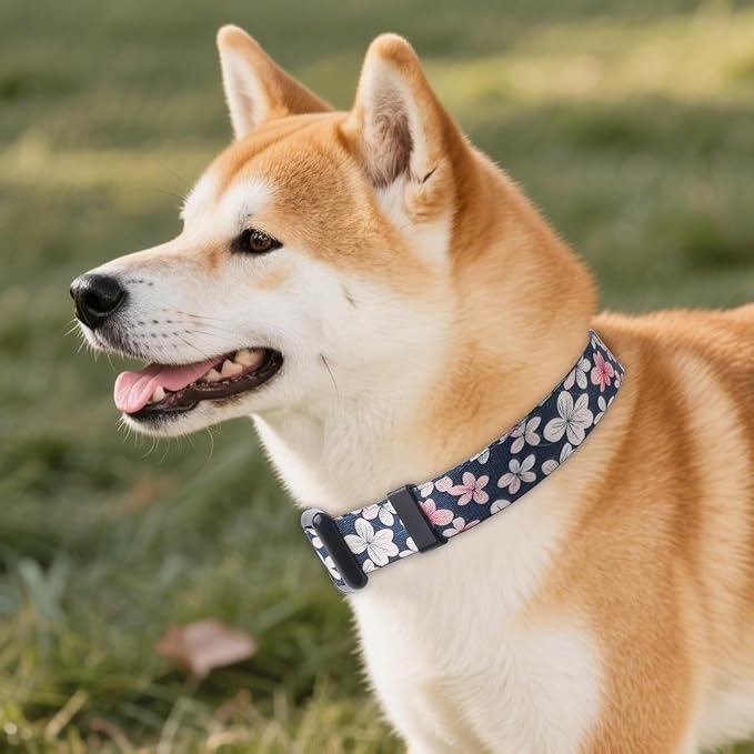 QQPETS Adjustable Soft Dog Collar: Print Flower Pink Multicolor Cute Patterns - Image 7
