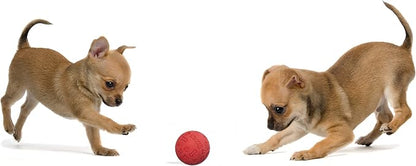 Snug Rubber Dog Balls for Small and Medium Dogs - Image 5