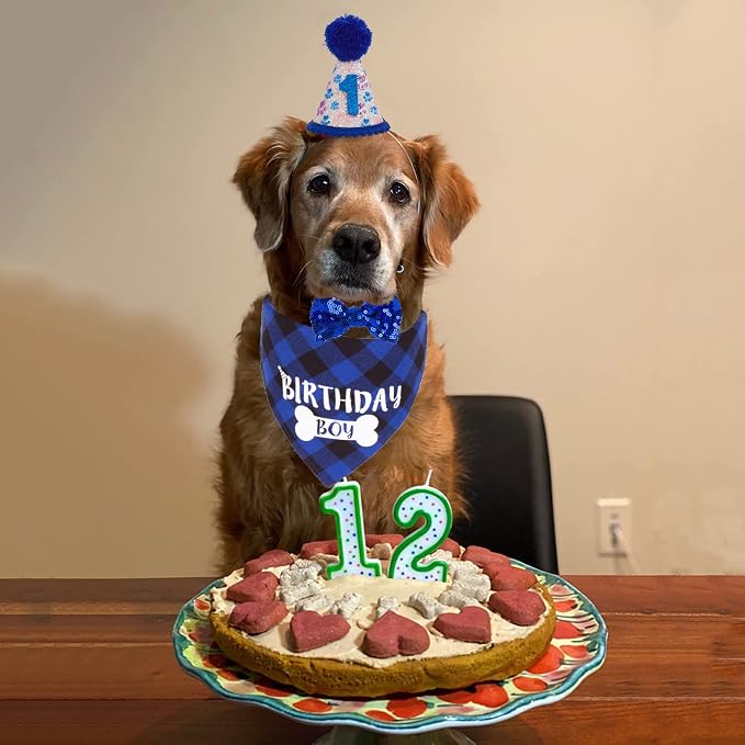 ADOGGYGO Dog Birthday Party Supplies, Pet Party Hat - Image 2