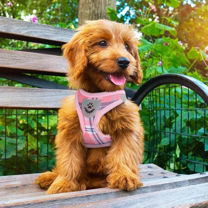 PUPTECK Adjustable Dog Harness Collar and Leash Set Step in No Pull Pet Harness - Image 8