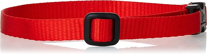 LupinePet Basics 1/2" Red 10-16" Adjustable Collar - Image 2