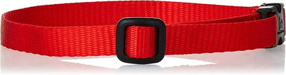 LupinePet Basics 1/2" Red 10-16" Adjustable Collar - Image 2