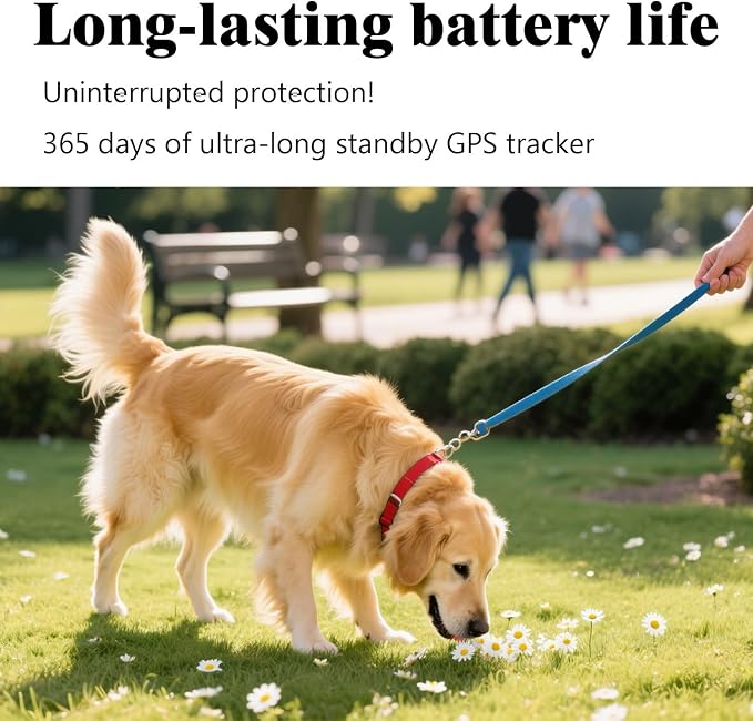 GPS Tracker for Dogs & Cats, No Subscription & No SIM Card, 365-Day Extra Long - Image 5