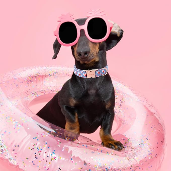 Unique style paws Valentine's Day Dog Collar Metal Buckle Collar Blue Pink Love - Image 4