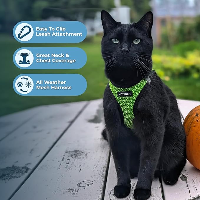 Best Pet Supplies Voyager Step-in Air Harness - Image 3