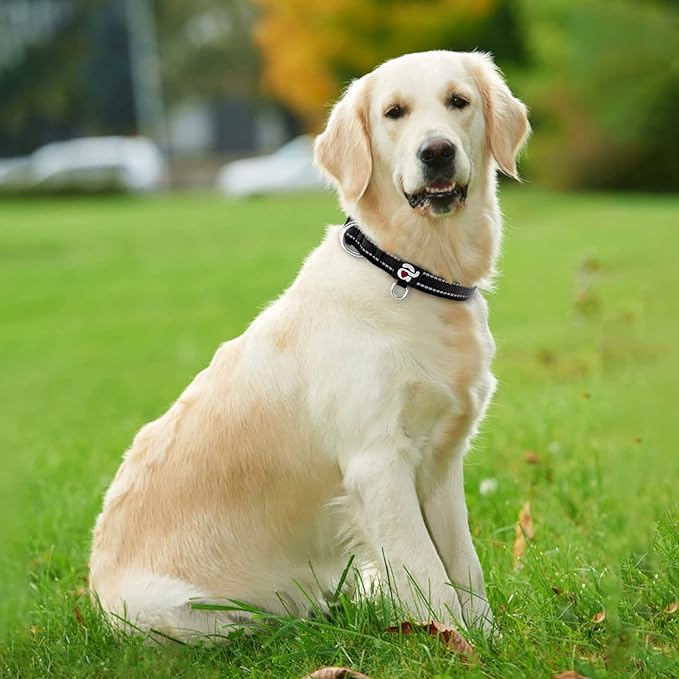 azuza Reflective Dog Collar, Soft Neoprene Padded Pet Collar - Image 5