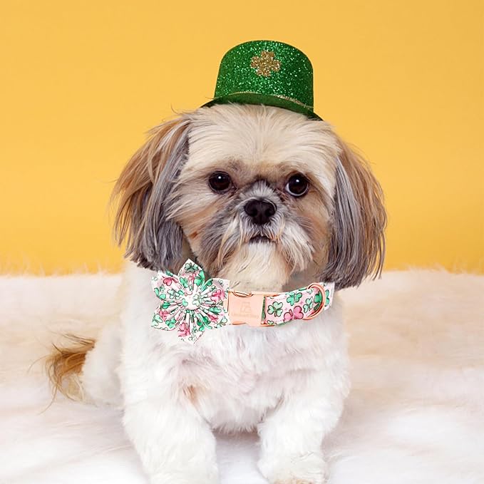 Lionheart glory St. Patrick's Day Dog Collar - Image 4