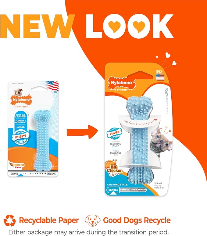 Nylabone Puppy Chew Blue Textured Teething Bone - Image 4