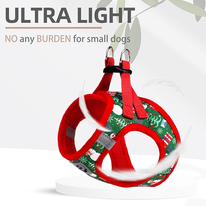 PUPTECK Adjustable Dog Harness Collar and Leash Set Step in No Pull Pet Harness - Image 6