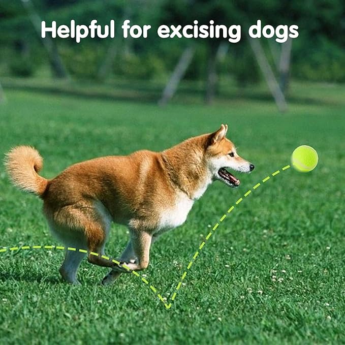 6 Pack Mini Tennis Balls for Pet Playing Fecth, 2 inch Dogs Training Tennis - Image 5