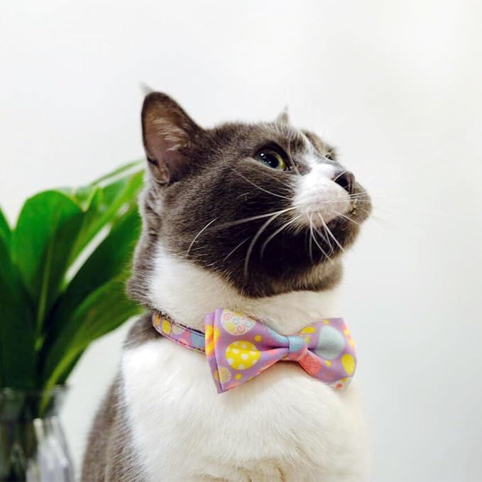 2 Pack Easter Day Cat Collar - Image 5