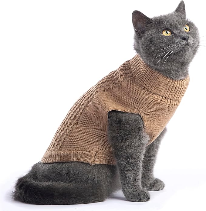 Stretchy Cat Sweater - Image 5