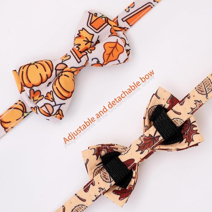 Faygarsle 2 Pack Breakaway Fall Cat Collars - Image 3