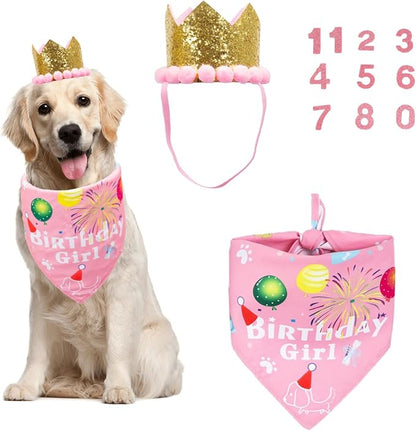 ADOGGYGO Dog Bandana Hat Set for Birthday Party Supply, Boy Girl Pet Birthday by ADOGGYGO
