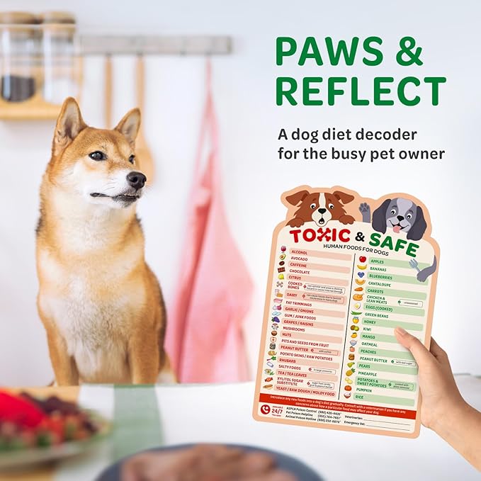 EBPP Magnetic List of Foods Dogs Can Eat - Image 7