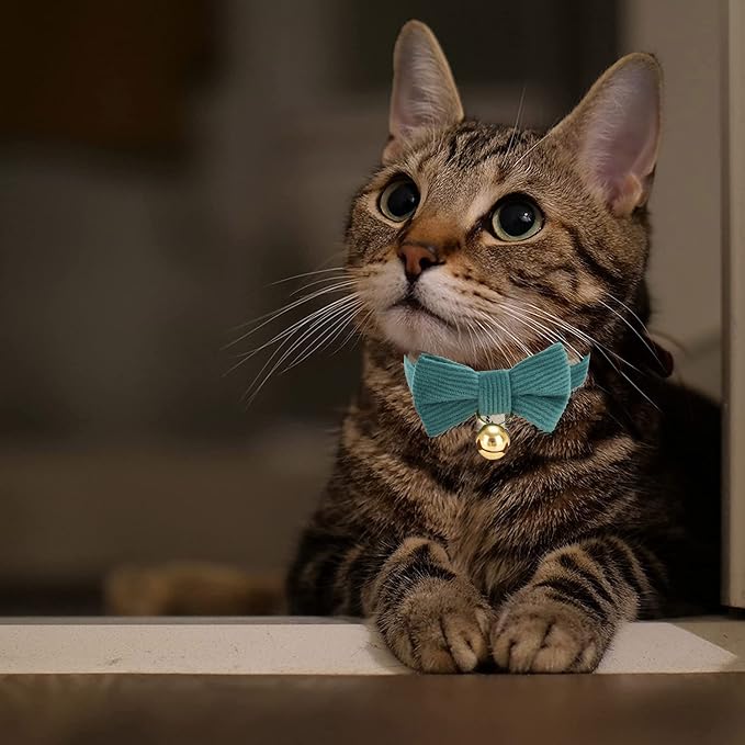 Cotton Breakaway Cat Collar - Image 7