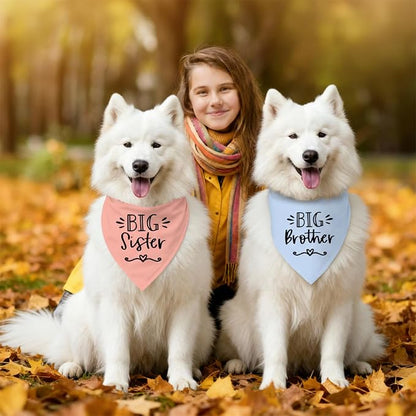 2 Pack Big Sister Big Brother Dog Bandanas, Adjustable Pet Bandana - Image 5