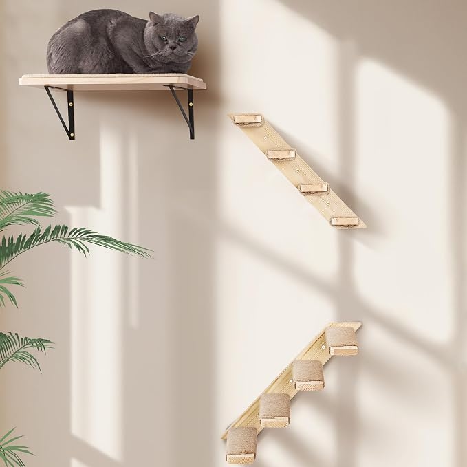 Wall Mounted 1 Pack Cat Shelf by PELUOMOZ