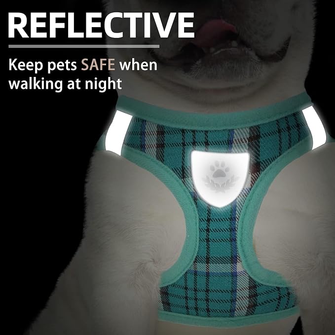 PUPTECK Adjustable Dog Harness Collar and Leash Set Step in No Pull Pet Harness - Image 5