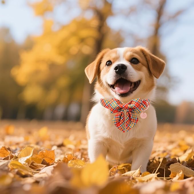 Autumn Plaid Dog Collar and Bow Tie Set – Orange Yellow Checkered Adjustable - Image 4