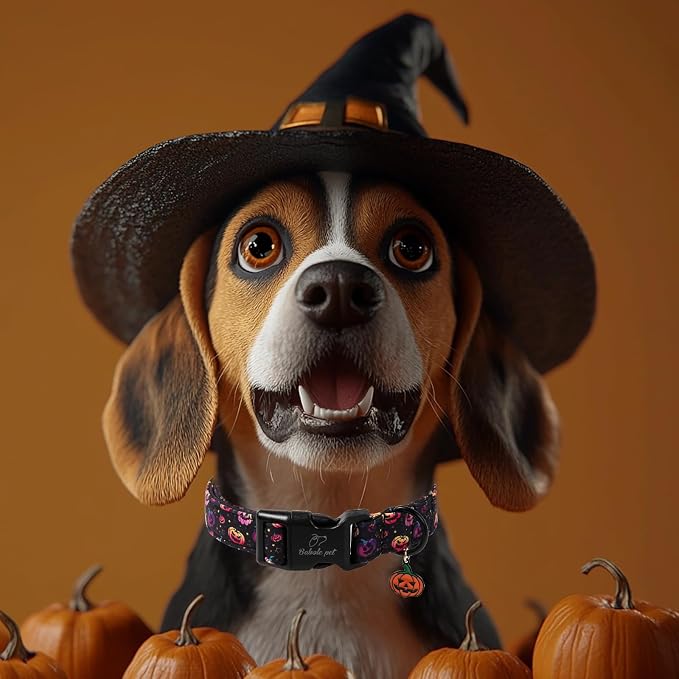 Halloween Dog Collar Spooky Fun Pumpkin Puppy Collar - Image 2