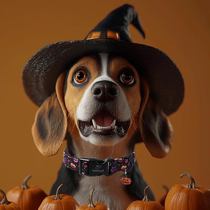 Halloween Dog Collar Spooky Fun Pumpkin Puppy Collar - Image 2