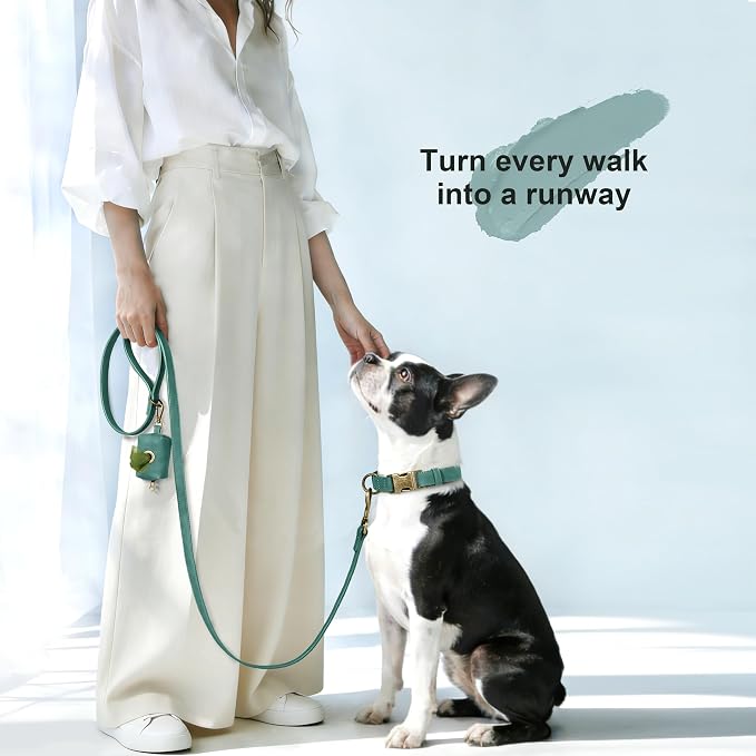 Didog Soft PU Leather Dog Collar, Stylish Quick Released Dog Collars - Image 4