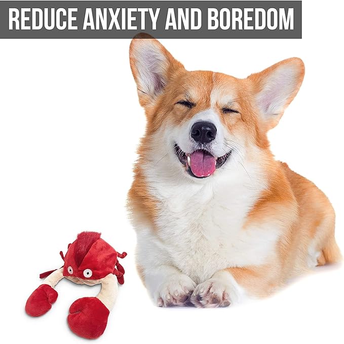 Hyper Pet Doggie Pal Interactive Dog Toys - Image 5
