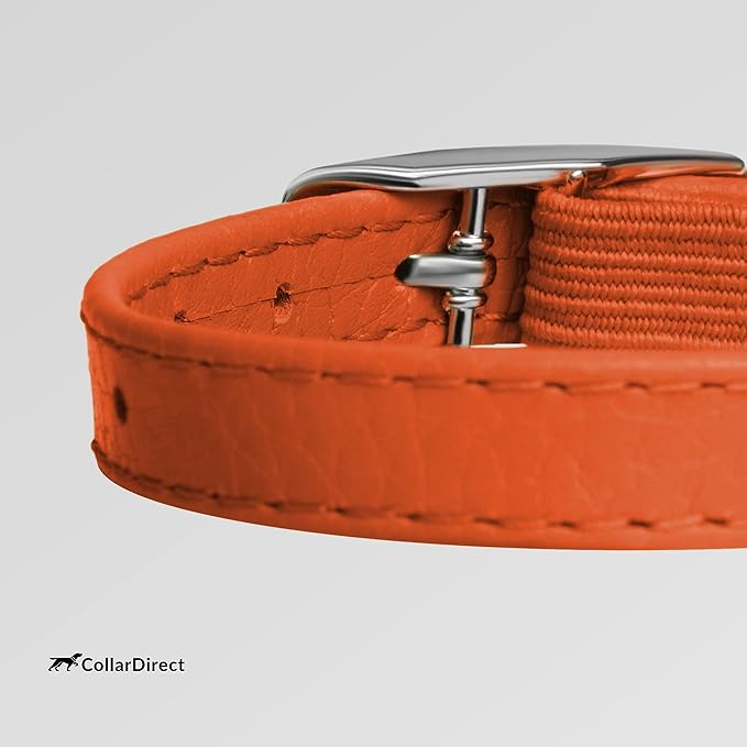 CollarDirect Leather Cat Collar, Kitten Collar - Image 4