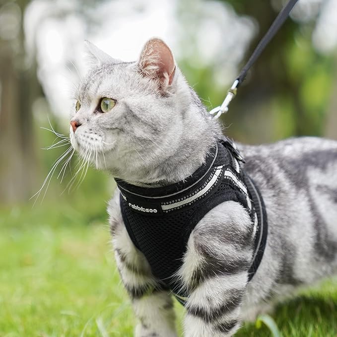 rabbitgoo Cat Harness and Leash Set - Image 7